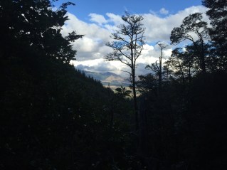 Hanmer Forest Mt Isobel