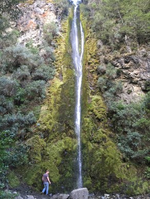 41m Dog stream waterfall on Mt Isobel