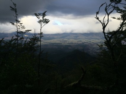 Waterfall track, Hanmer Forest