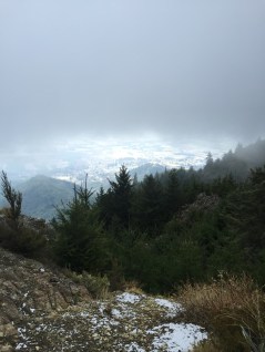 View from top Mt Isobel