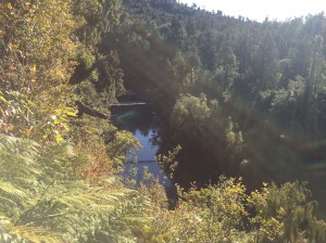 View of the swing bridge